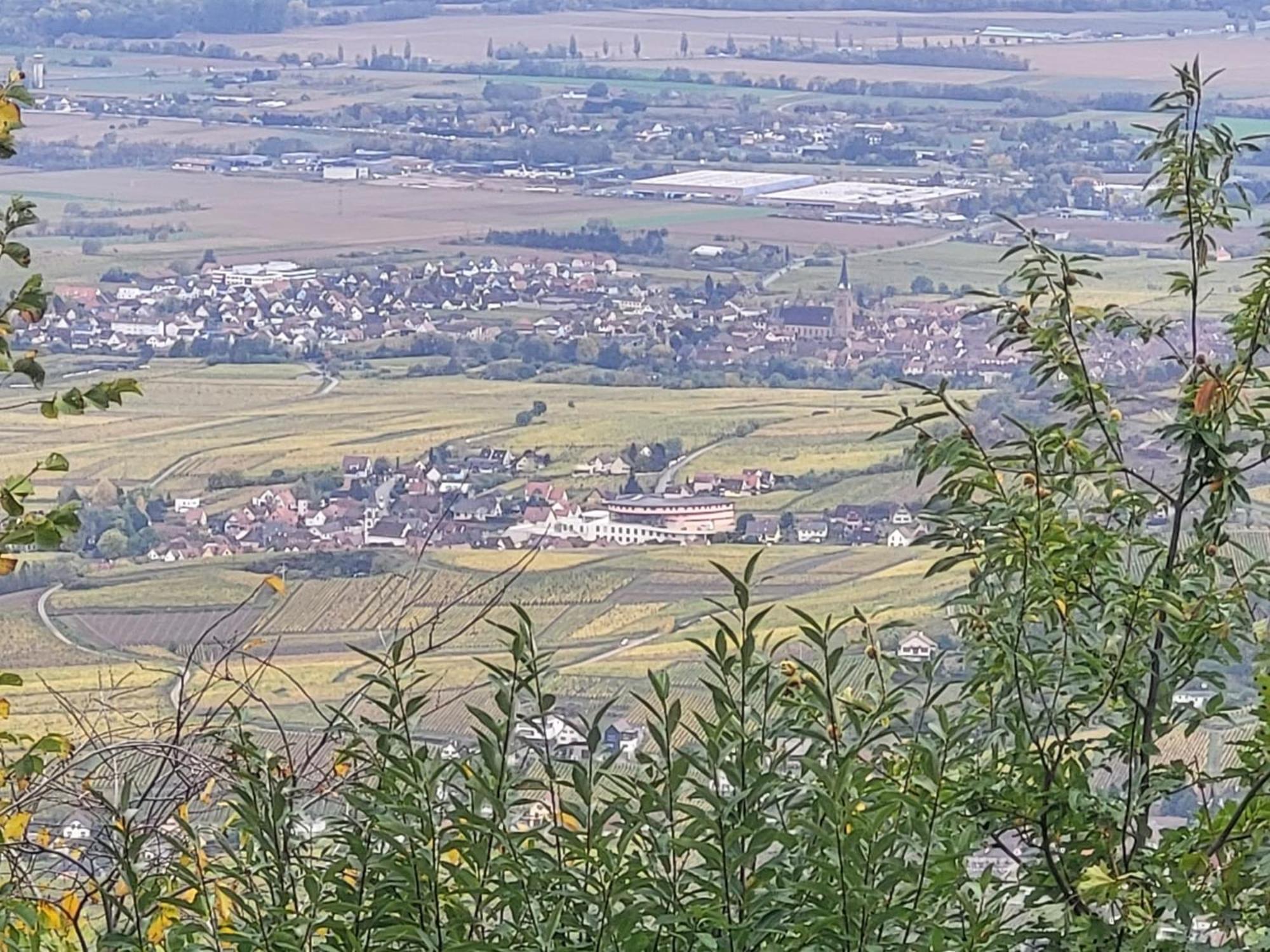 Willa Sur La Route Du Vin Rorschwihr Zewnętrze zdjęcie